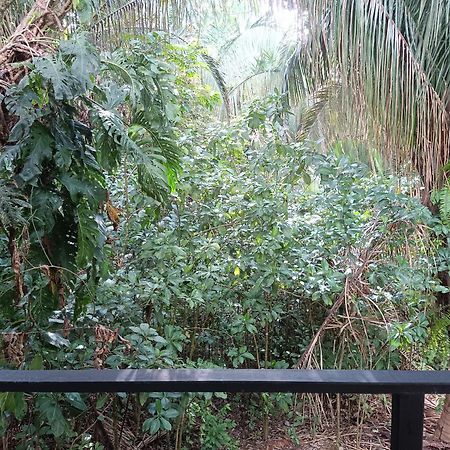 Selva Linda Lodge Vacation Rentals Quepos Buitenkant foto