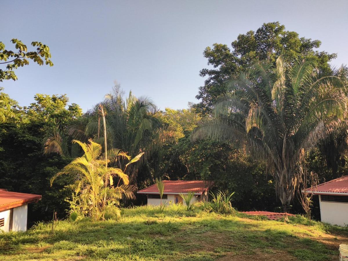Selva Linda Lodge Vacation Rentals Quepos Buitenkant foto
