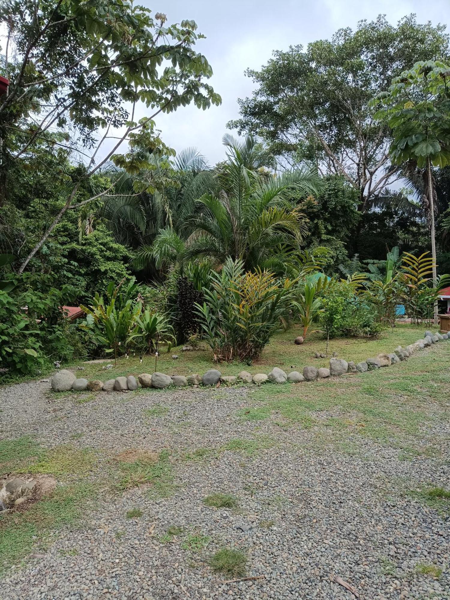 Selva Linda Lodge Vacation Rentals Quepos Buitenkant foto
