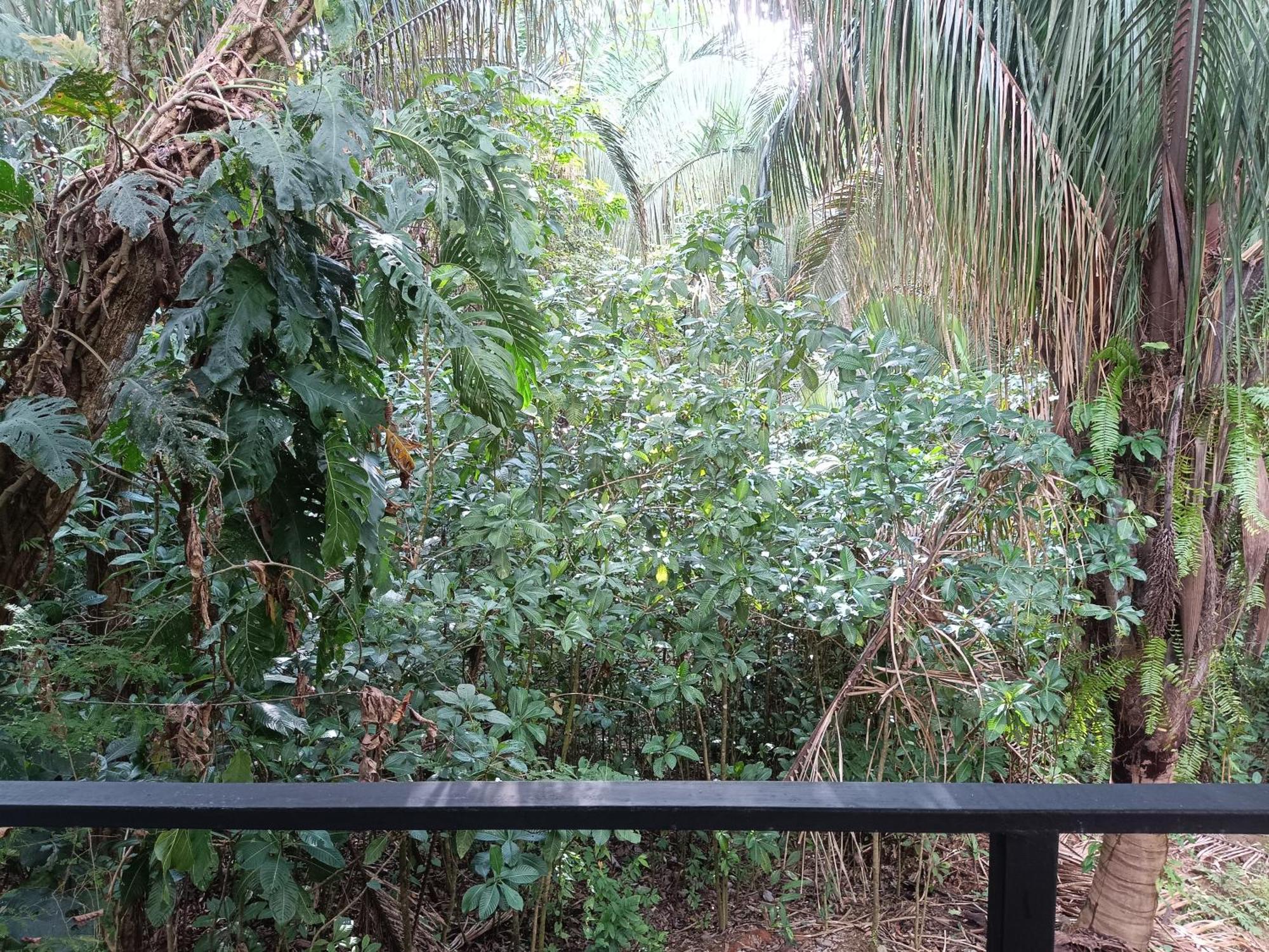 Selva Linda Lodge Vacation Rentals Quepos Buitenkant foto