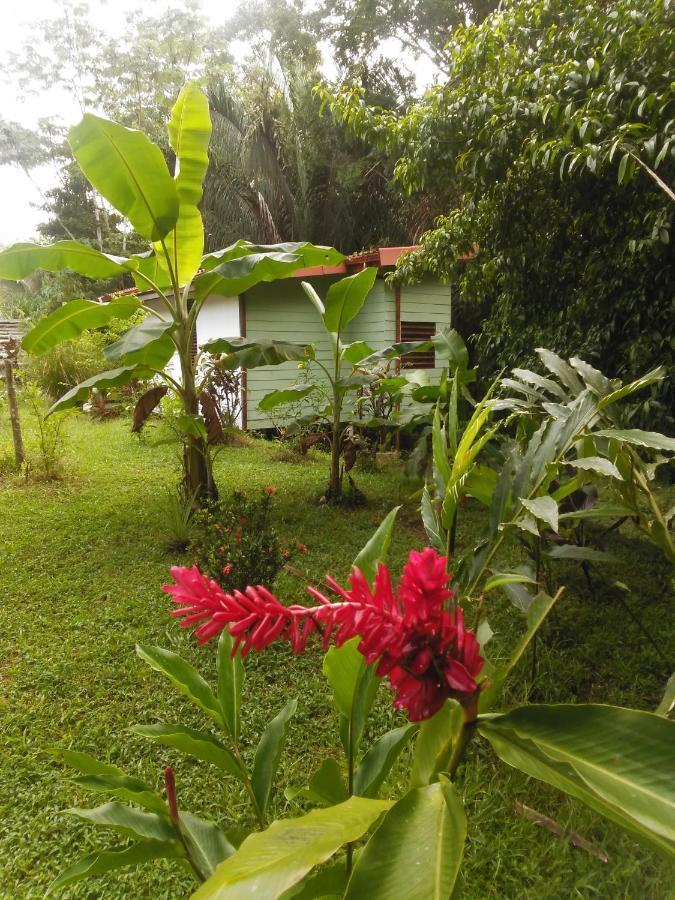 Selva Linda Lodge Vacation Rentals Quepos Buitenkant foto