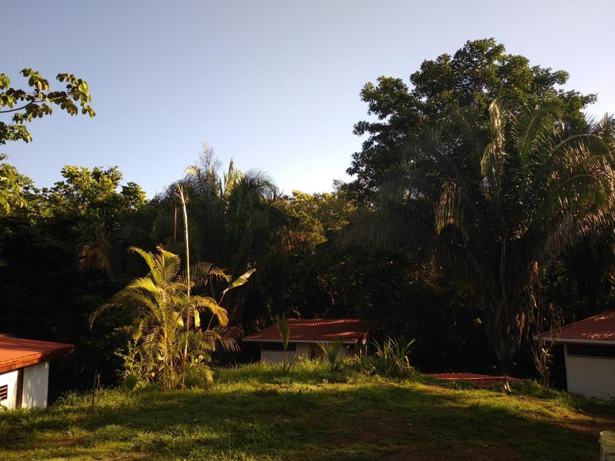 Selva Linda Lodge Vacation Rentals Quepos Buitenkant foto